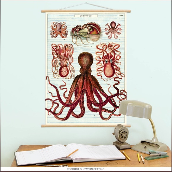 Cavallini & Co. Octopods Vintage Science Octopus Image Decorative Poster - NWT - Picture 2 of 7